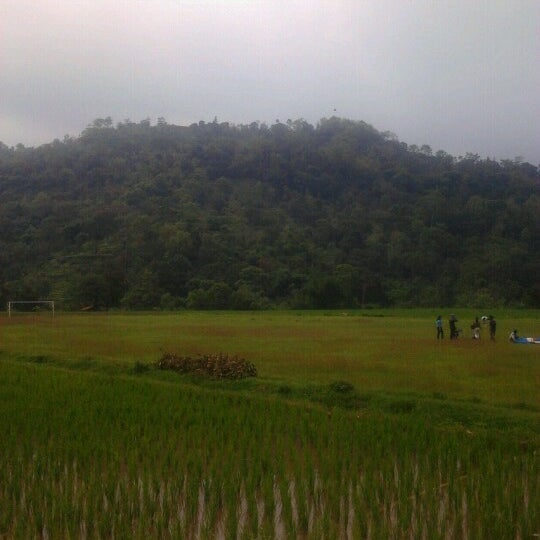 Landing area. Landing area