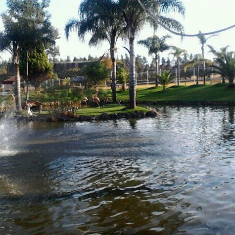Снимок сделан в Hacienda Coyotes пользователем diego C. 10/20/2012