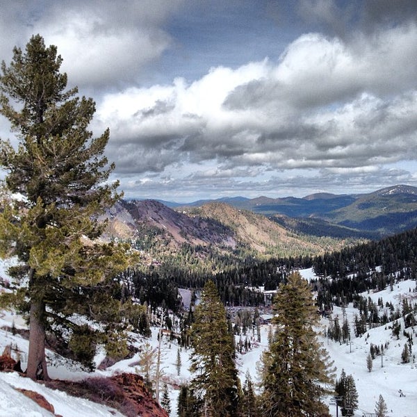 Alpine Meadows