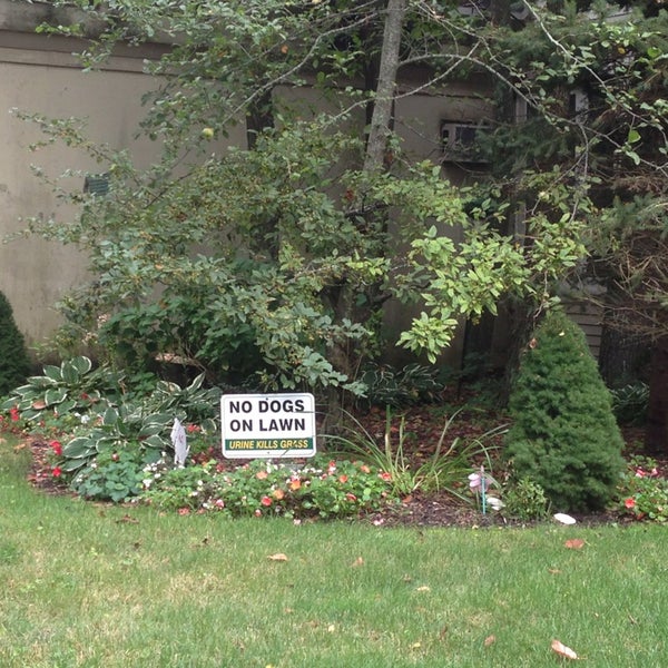 Strebel's Hand Car Wash 644 Montauk Hwy