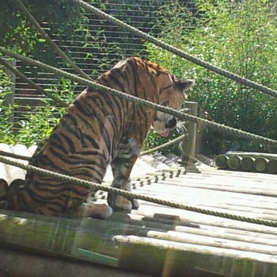 Foto tirada no(a) Hertfordshire Zoo por Lee P. em 9/18/2012