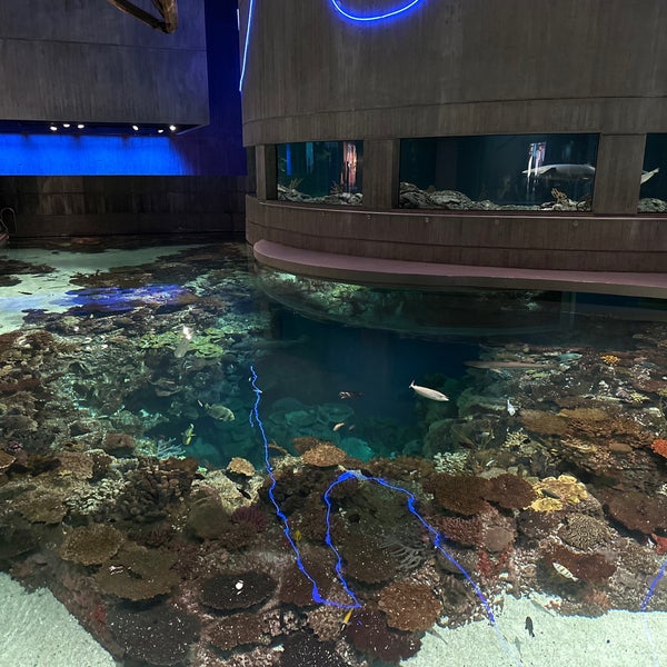 Foto scattata a National Aquarium da Gabriel B. il 7/18/2023