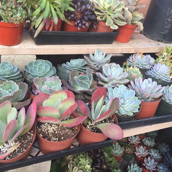 Anawalt Lumber CO Hardware Store in Los Angeles