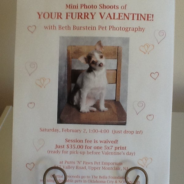 Purrs N Paws Pet Emporium 547 Valley Road Montclair New Jersey