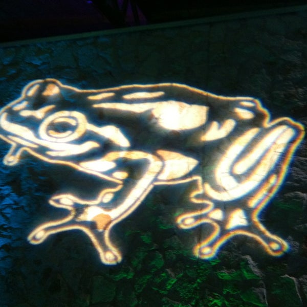 Foto tirada no(a) frog SXSW Interactive Opening Party por Salsa A. em 3/9/2013