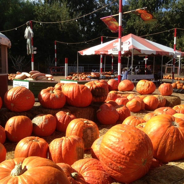 Tapia Brothers Encino, CA