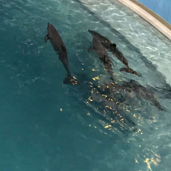 Photo taken at Aquarium Cancun by Mario H. on 11/21/2017