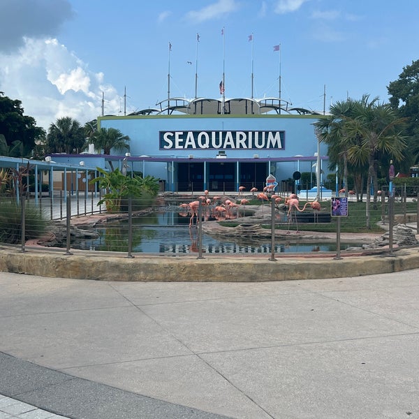 Das Foto wurde bei Miami Seaquarium von Nnyycc1 am 8/25/2023 aufgenommen