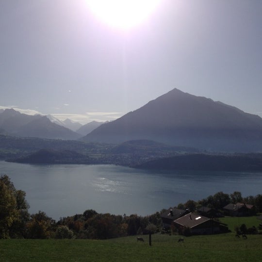 Gunten