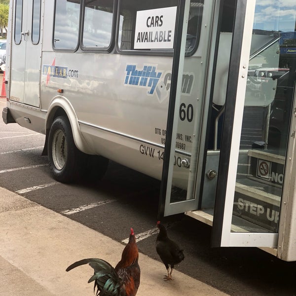 Thrifty Car Rental Rental Car Location