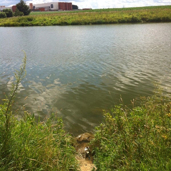 Озеро развилка. Озеро развилка. Платная рыбалка развилка. Зеро инышко. Озеро развилка.