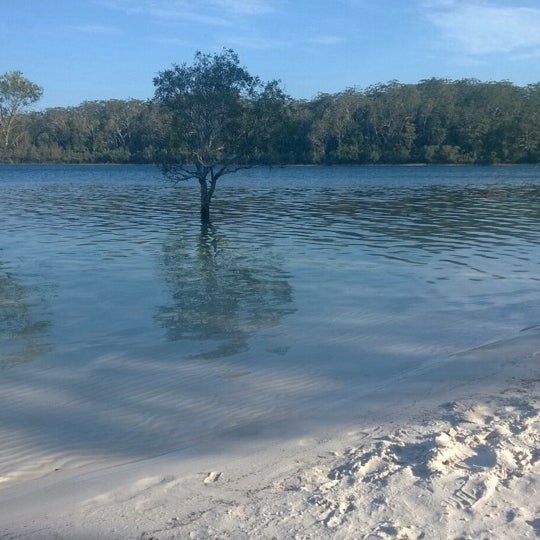 Озеро Маккензи Lake MCKENZIE