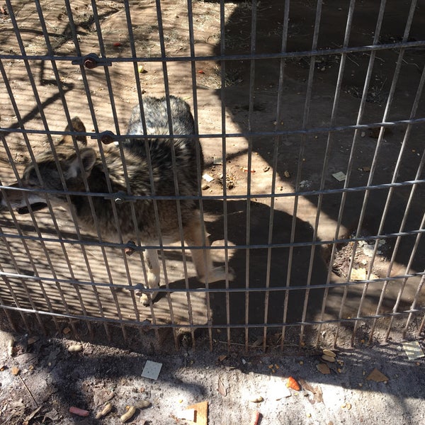 Yellow River Game Ranch (Now Closed) Lilburn, GA