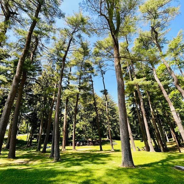 Photos at Syosset Woodbury Community Park Syosset, NY