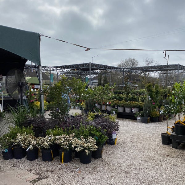 Buchanan's Native Plants Flower Store in Greater Heights