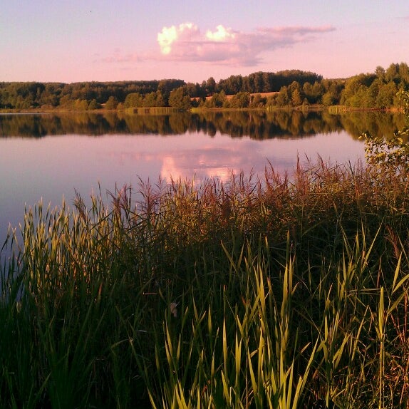 Река Белый Лух Фото