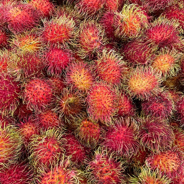 Guinta's Meat Farms Port Jefferson Station, NY