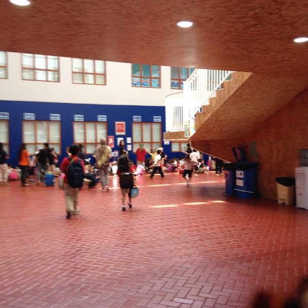American Collegiate
