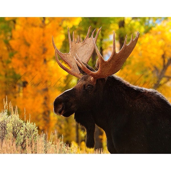 Photos At Perfect Light Camera Supply In Idaho Falls Photo Taken At Perfect Light Camera Supply By Kirk S On 4