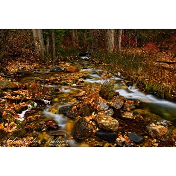 Perfect Light Camera & Supply Camera Store in Idaho Falls