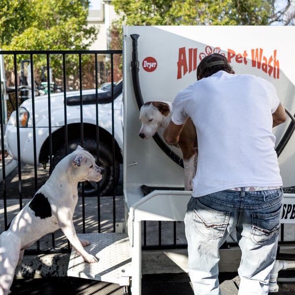 Quiky Car Wash 5 tips from 94 visitors