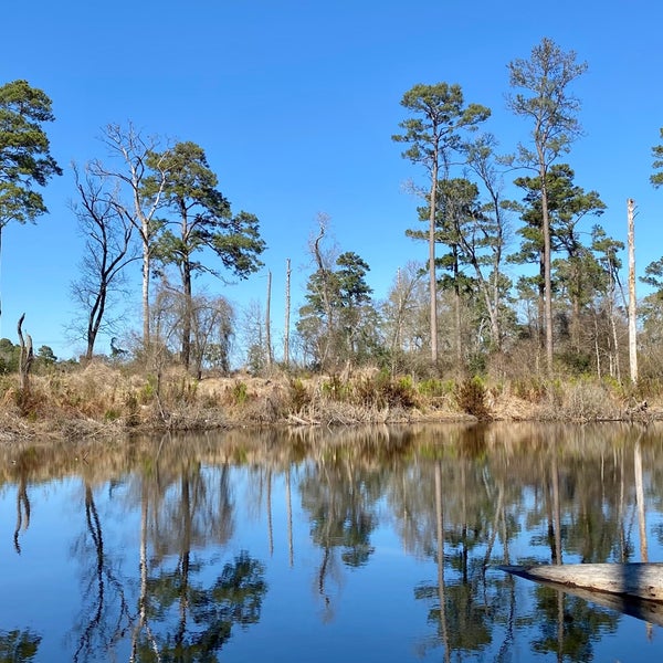 Pundt Park Other Great Outdoors in Spring
