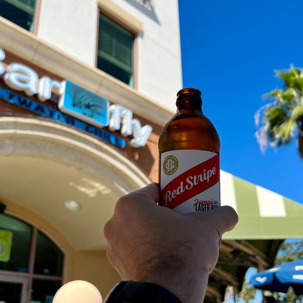 Bar fly Safety Harbor, FL