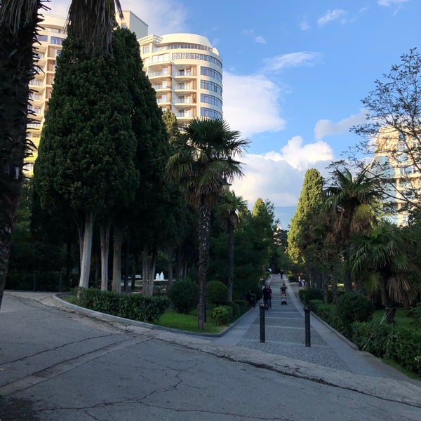 Ялта пальмы