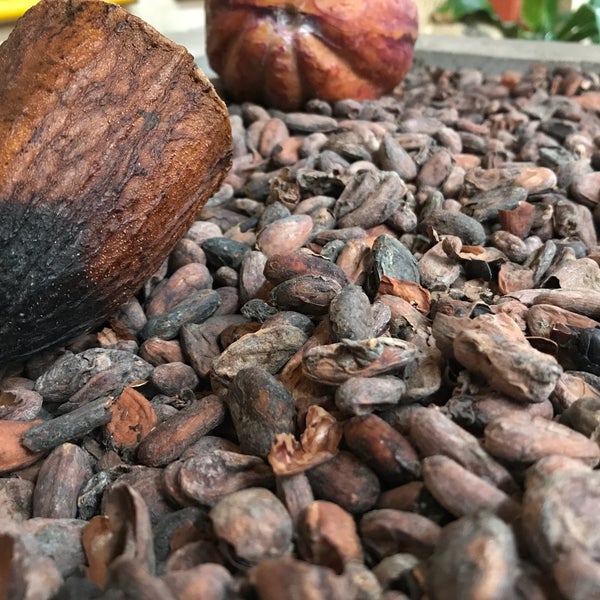 Photo taken at Kakaw, Museo del cacao &amp; chocolatería cultural by Pudimé on 10/9/2017