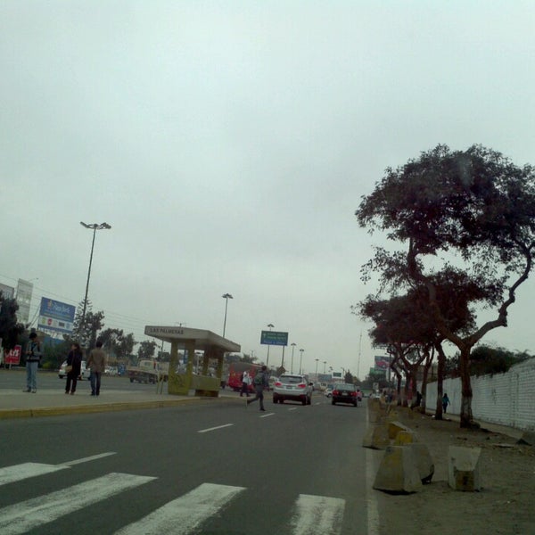 átomo Sin alterar ira Avenida Las Palmeras - La Molina - Lima, Lima