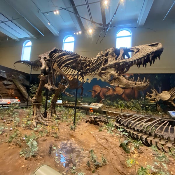 Foto tirada no(a) Carnegie Museum of Natural History por Madster em 11/14/2022