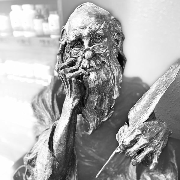 Ginger's Garden Cafe Café