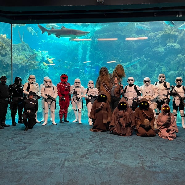 Foto scattata a The Florida Aquarium da N B. il 6/26/2021