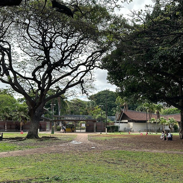 Снимок сделан в Honolulu Zoo пользователем 𝐇𝐚𝐥𝐢𝐥 𝐈̇𝐛𝐫𝐚𝐡𝐢𝐦 5/5/2024