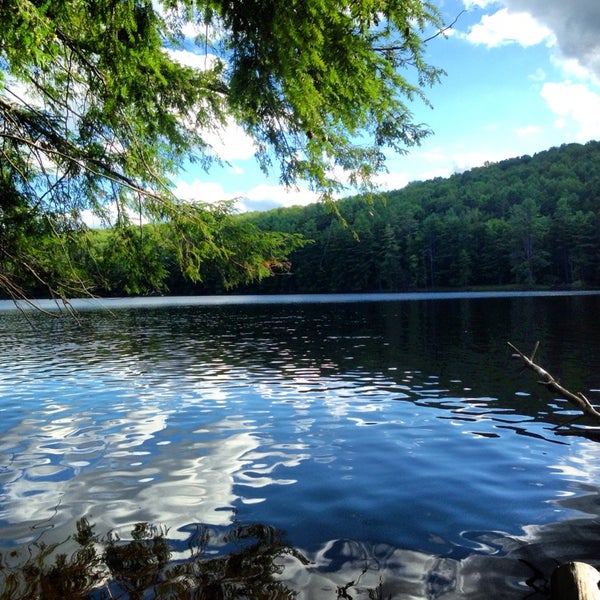 Escape to Serenity: Your Guide to New York's Gilbert Lake State Park