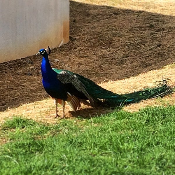 Gap View Ranch & Kennel Farm in Broadway