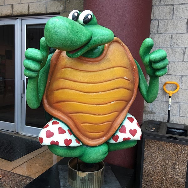 Turtle