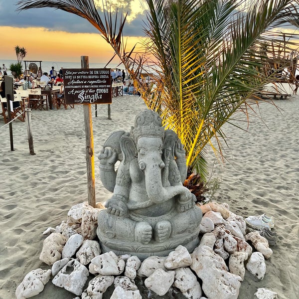 Пляж без людей. Miracle beach 1992. Эми доленц чудо пляж. Пляж пинк сэндс бич багамские острова. Чудо пляж.