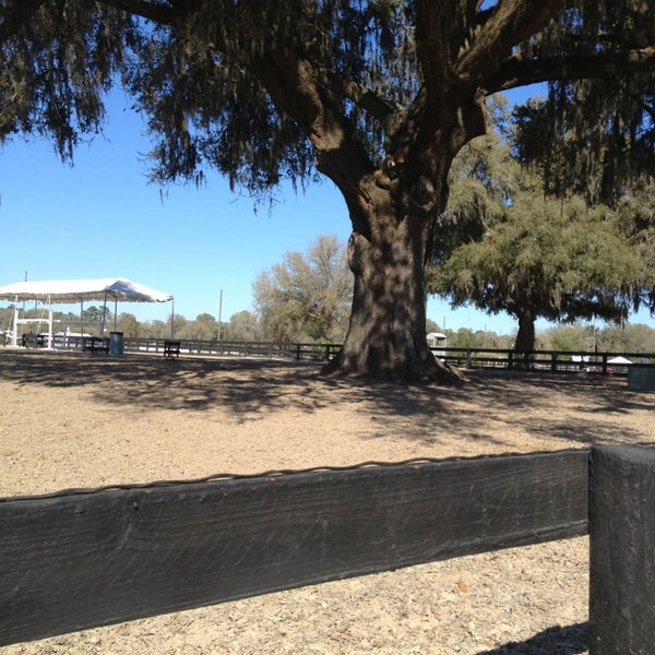 HITS Ocala - 1 tip from 162 visitors