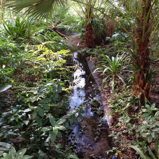 Harry P Leu Gardens - 1920 N Forest Ave
