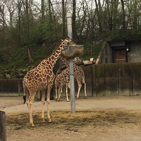 Photo taken at Memphis Zoo by Sara on 3/14/2020