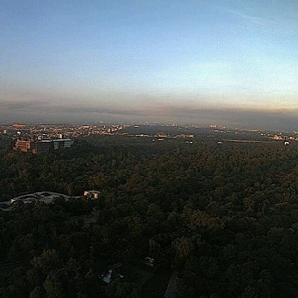 Tavistock Investment Group Bosque de Chapultepec 3 2 tips from 174