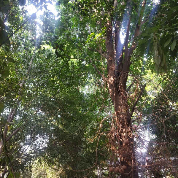The Autumn Leaf Jubilee Hills Hyderabad, Telangana
