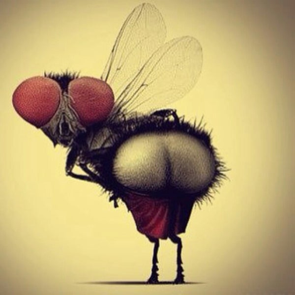 Смешной рисунок попы