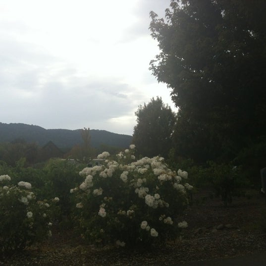 Photo prise au Valley of the Moon Winery par Ity K. le8/4/2012