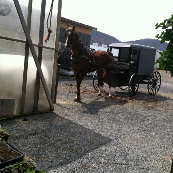 Sugar Valley Greenhouse Flower Store