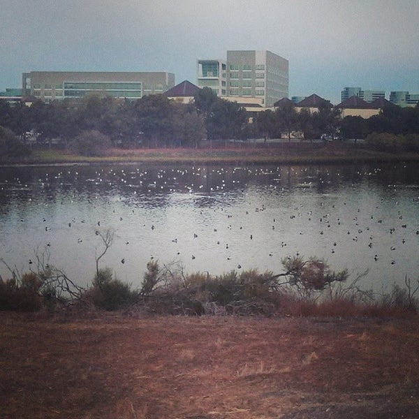 Photo taken at TownePlace Suites Redwood City Redwood Shores by Bogdan P. on 2/4/2014