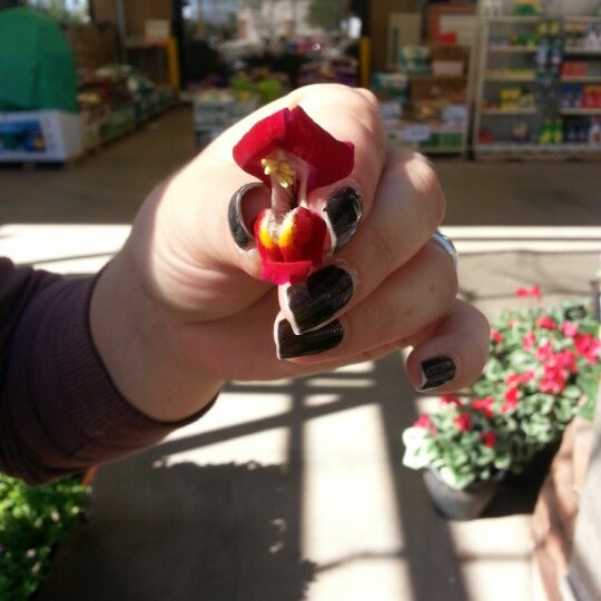 Photos at The Home Depot Tucson, AZ