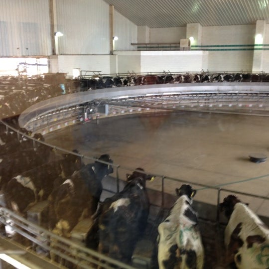 Van Deurzen Dairy Farm, LLC Alger, OH