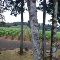 10/13/2012에 Cassandra R.님이 Vista Hills Vineyard &amp; Winery에서 찍은 사진